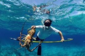 lobster fishing Ambergris Caye – Best Places In The World To Retire – International Living